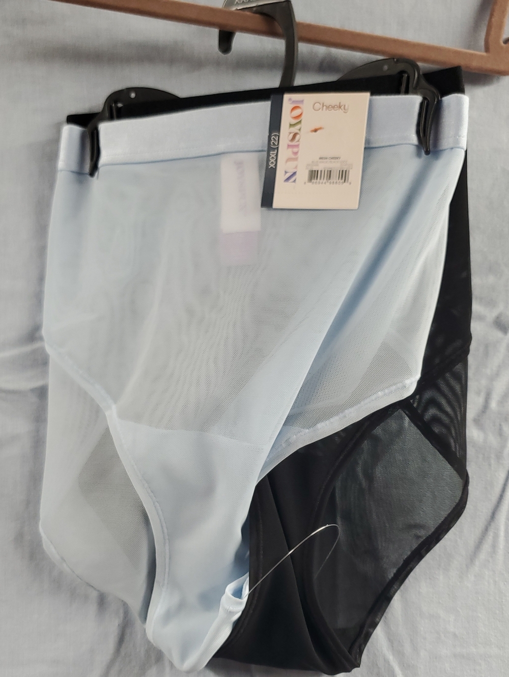 Cheeky Women's Sheer High-Cut Panties - Light Blue & Black